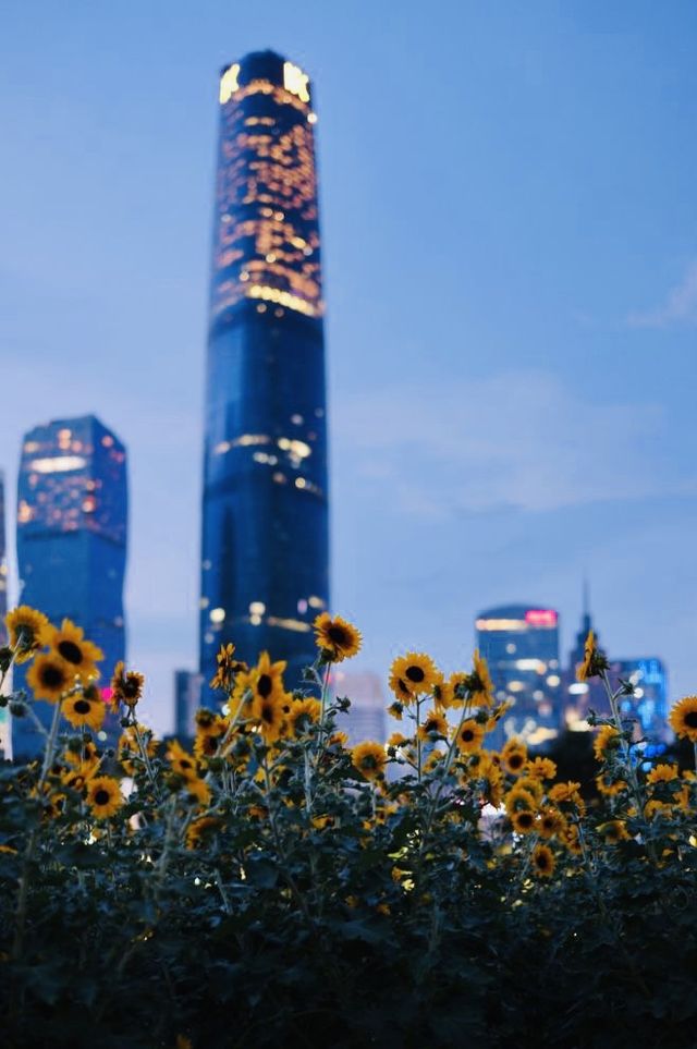 Ersha Island - Free camping and picnic spot in Guangzhou city.