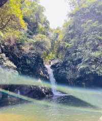 Explore the tropical rainforest around Qinzhou on foot and feel the sunshine.