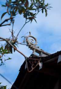 初冬的嶼北,在質樸之外,是斑斕的色彩