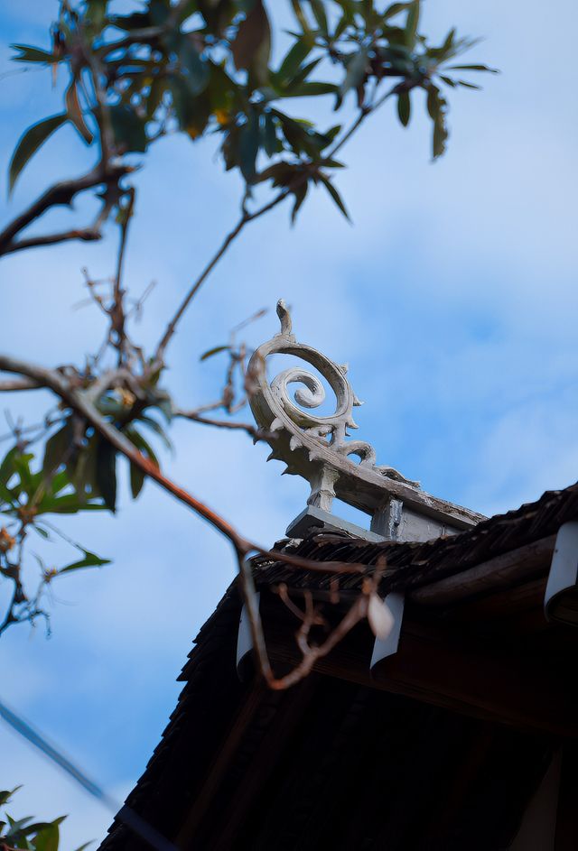 初冬的嶼北,在質樸之外,是斑斕的色彩 初冬的嶼北,在質樸之外,是斑斕的色彩