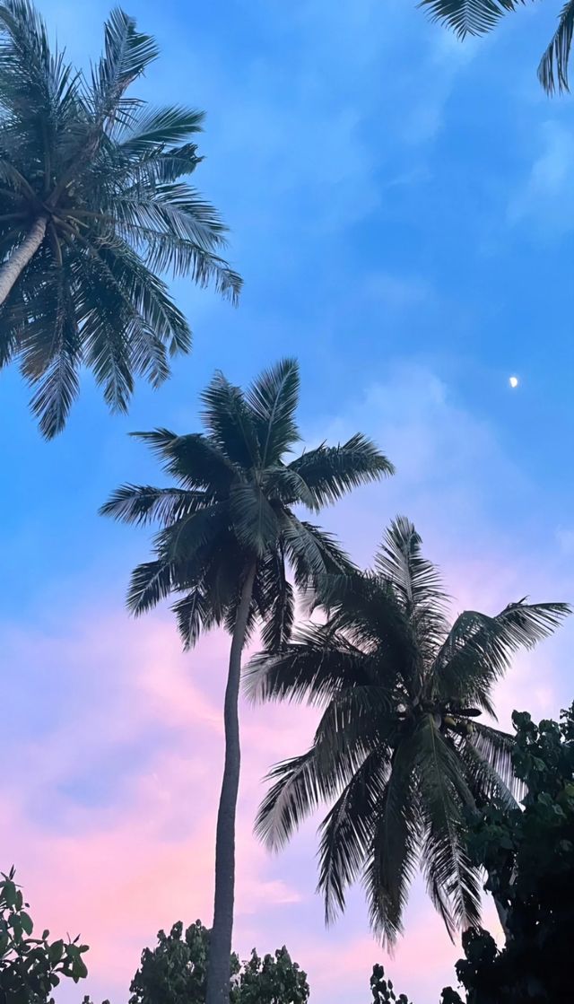 馬代盲選海島酒店 成功