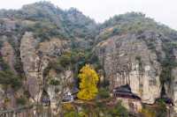 完美,懸空寺遇上700年銀杏王
