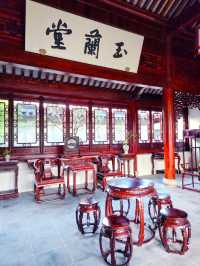 秋季遊申園，拍照絕佳時