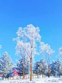 梅河口冬季初印象：吉林冰雪小城的魅力！