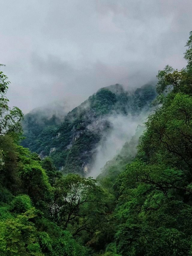 重慶 黑山谷｜山中無別事，歲月無閒愁