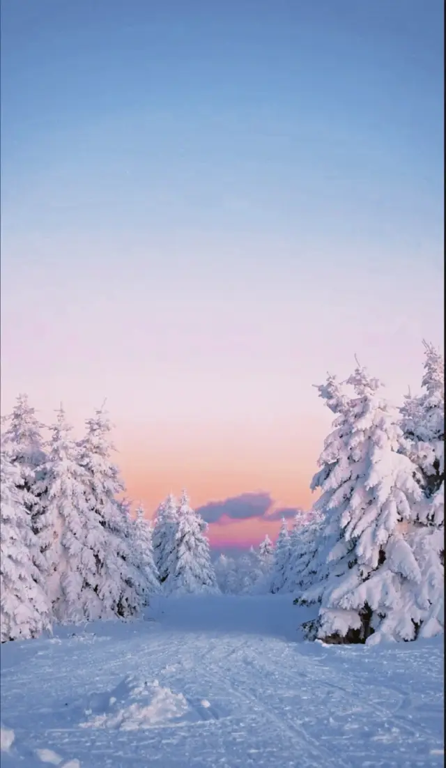 冬の長白山は、あなたに異なる雪の奇跡を体験させます