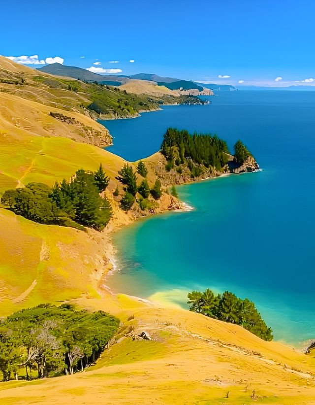 新西蘭純淨的治癒之國——南島之旅！