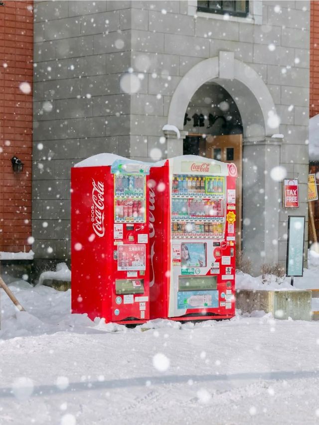 ‼️北海道に5回行った後、夜更かししてまとめた攻略