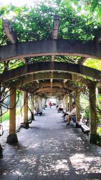 “滬東小西湖”——楊浦公園