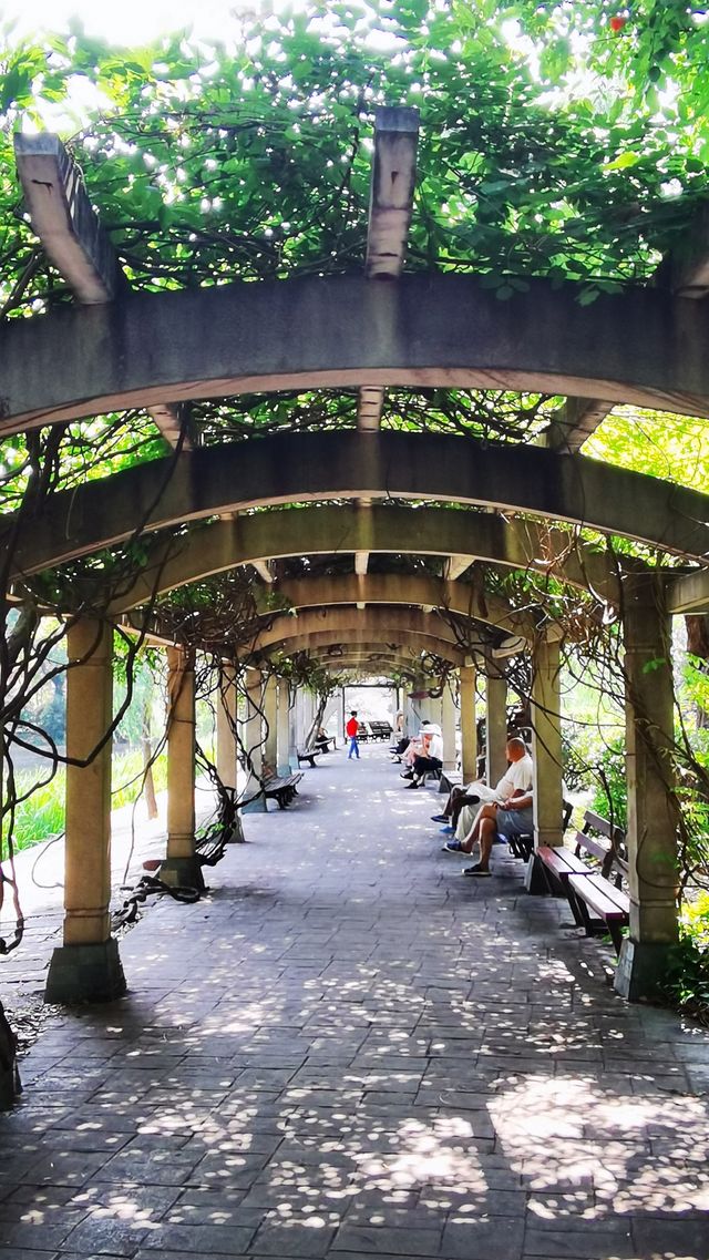 “滬東小西湖”——楊浦公園