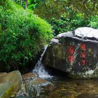 桂峰村，萬柿順意～