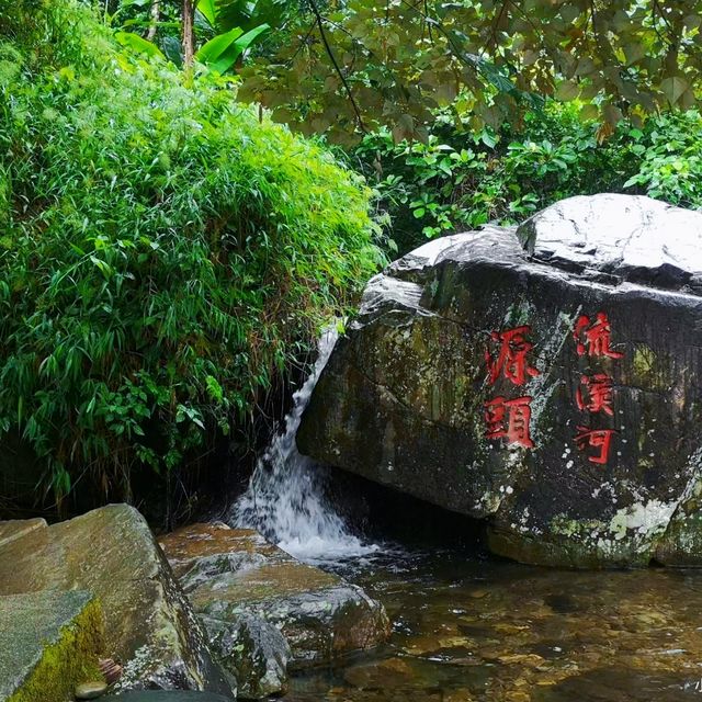 桂峰村，萬柿順意～