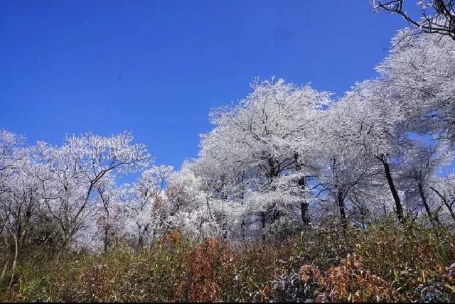 杭州富陽雨雪後的杏梅尖太美了 徒步攻略記錄