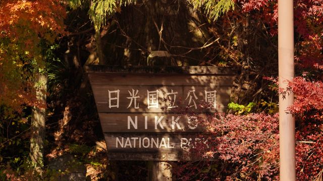 【紅葉季·紅葉狩】日光國立公園：一樹一樹的秋色如火如荼…
