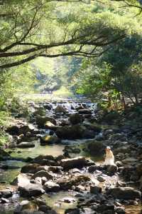 石門公園很秋天但是聽勸別來…