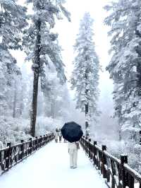 瓦屋山踩雪日記（附攻略