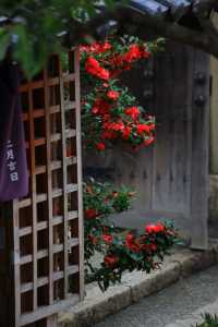 關西旅行|奈良日本最早寺廟：飛鳥寺