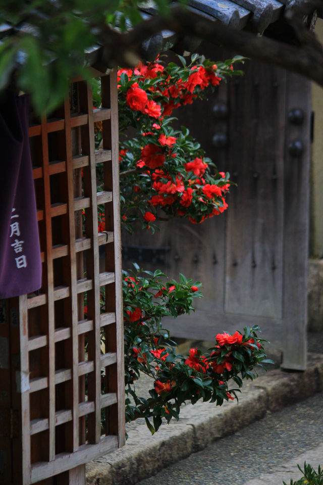 關西旅行|奈良日本最早寺廟：飛鳥寺