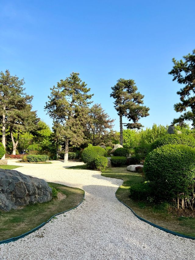 陝西西安唐苑新中式打卡地園林公園
