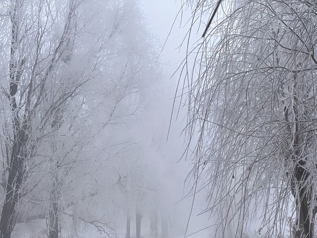 冬天即將過去霧凇美景儘快看