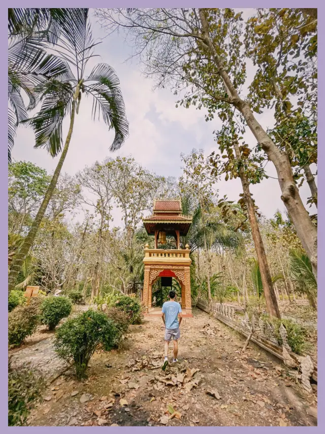 The enchanting time of stepping into the Dai village during the Xishuangbanna trip🪴 The enthusiasm of the folk customs and water splashing gathering