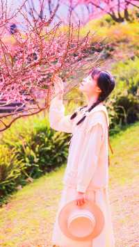 重慶春日賞花彩雲湖畔梅花盛放~攻略