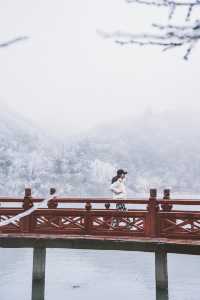 看看陽明山的霧凇