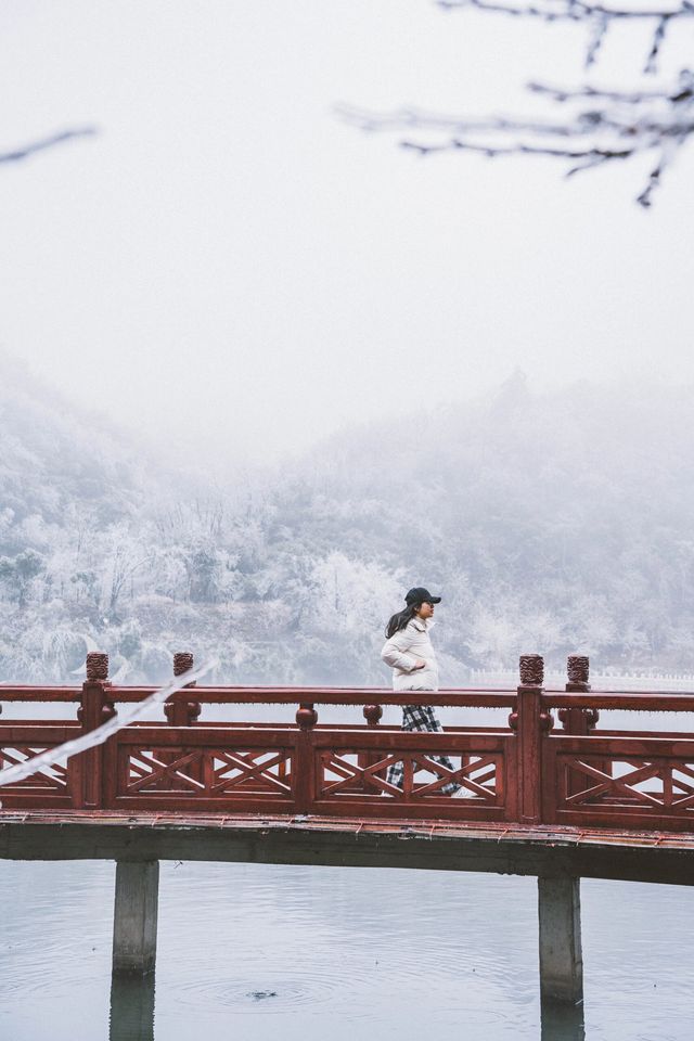 看看陽明山的霧凇