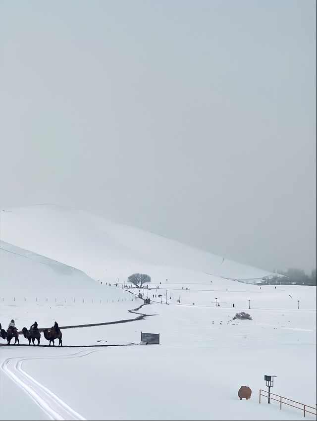 下雪的鳴沙山太美辣敦煌鳴沙山月牙泉攻略來啦