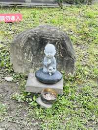半環島第四天花蓮