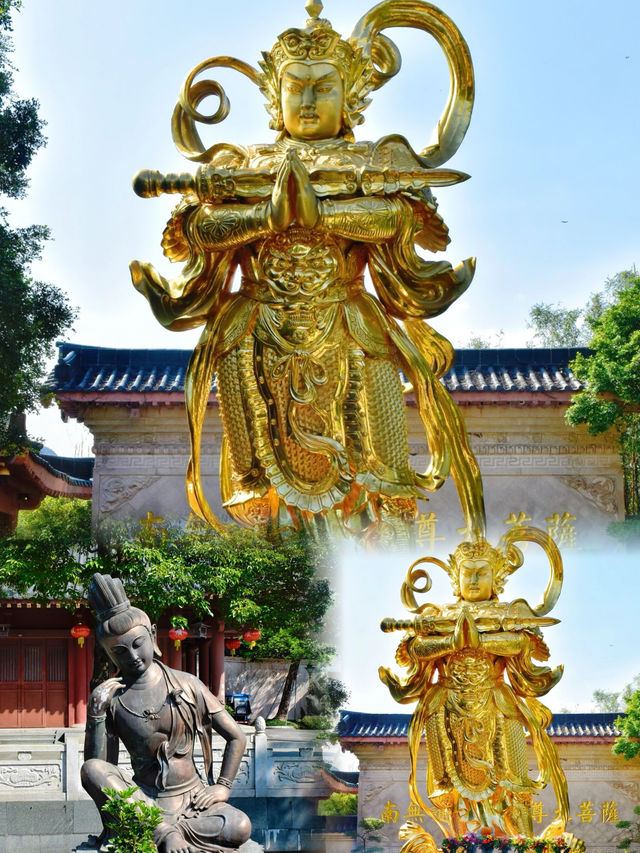 探索深圳海拔最高寺廟：大華興寺的壯麗與神秘之旅