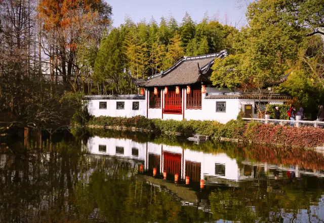 初春去古猗園，有不一樣的感受