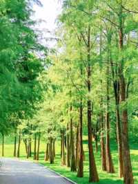 仙境植物園免費叢林滑梯遊樂園