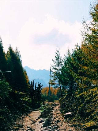 산시 가을 풍경 | 타이위안 주변 여행은 그냥 찍어도 사진이 나옵니다