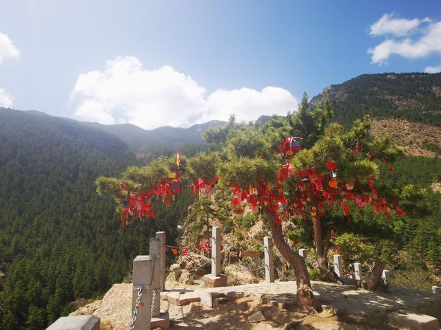 寧夏贺兰山蘇峪口國家森林公園