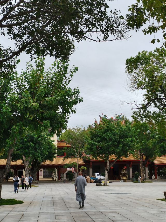 健康步道雲海線：廈門天竺岩寺至世紀和平園林