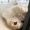 Joy_123_Simmons