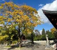 「盤龍寺：在昆明東郊尋找心靈的寧靜」