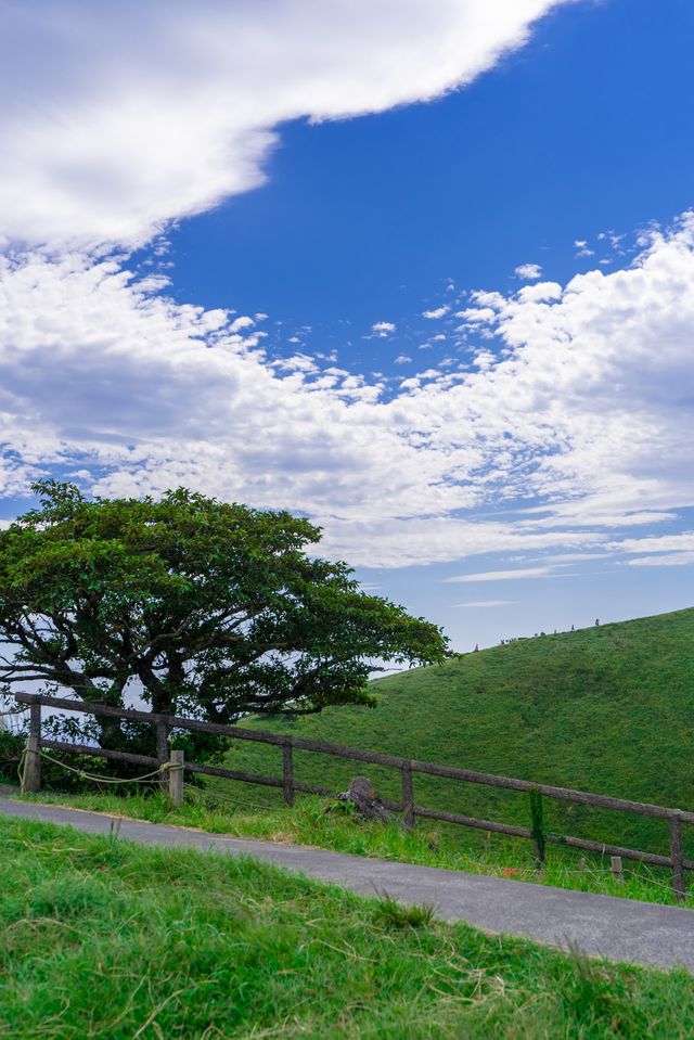 你的名字打卡地-大室山