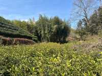 團建好去處，雲上草原邊的溫馨小窩