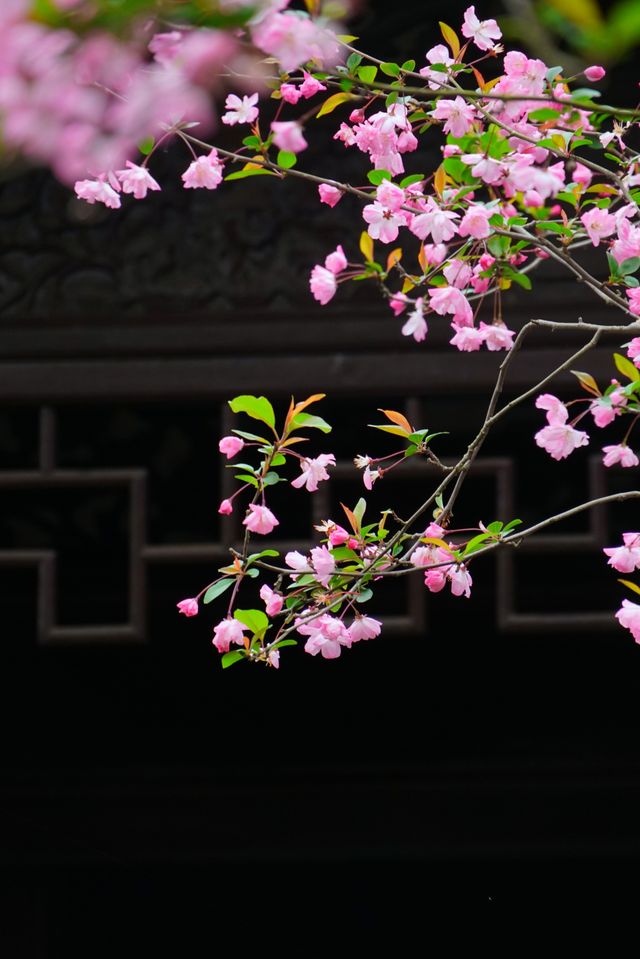 二泉書院