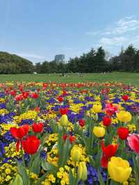 超級好玩的公園彙總榜排名