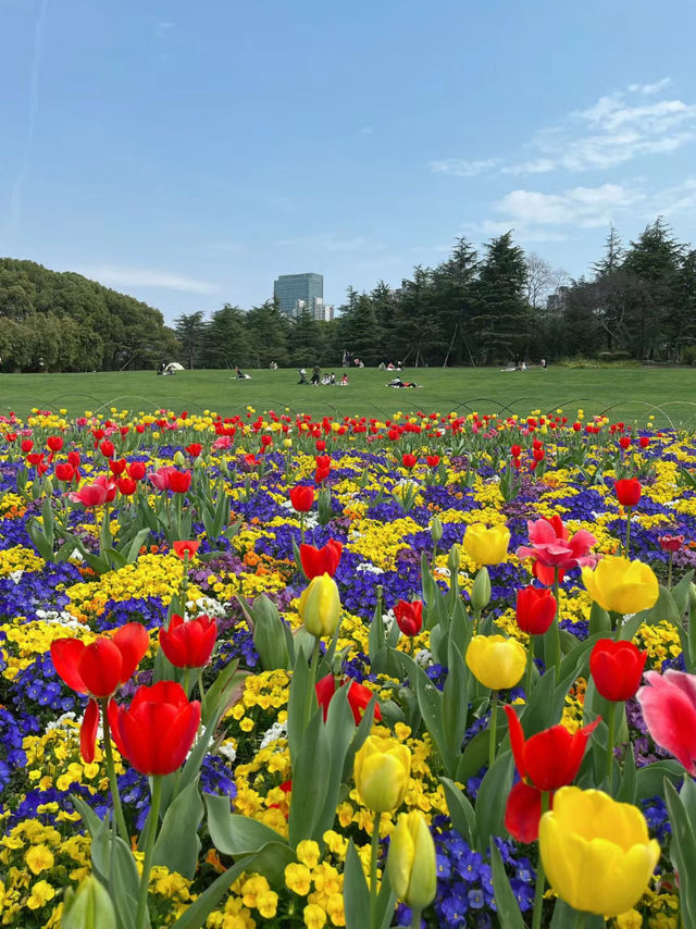 超級好玩的公園彙總榜排名