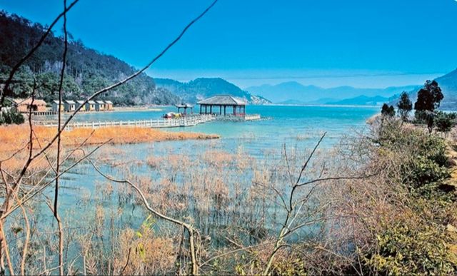 探秘寧波九峰山：山水之美等你來發現