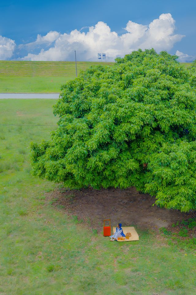 太離譜了！距廣州1h竟藏著大草原與百年古村