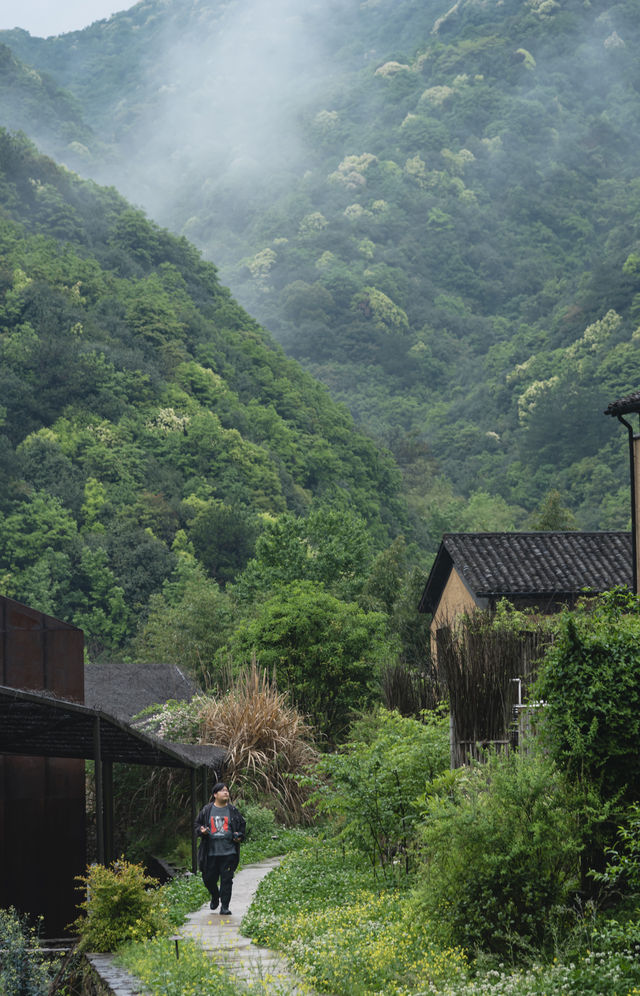 現實版富春山居圖：山野中隱逸，藝術中沉浸