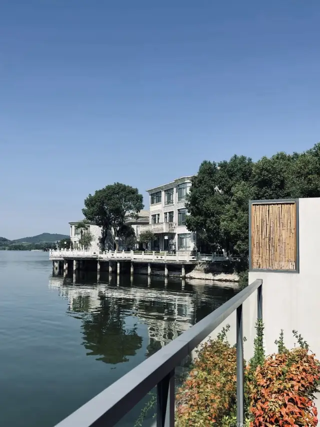 Tianmu Lake Encounter: Fourteen Waves | Resting your head on the lakeside water, you sleep in a painting