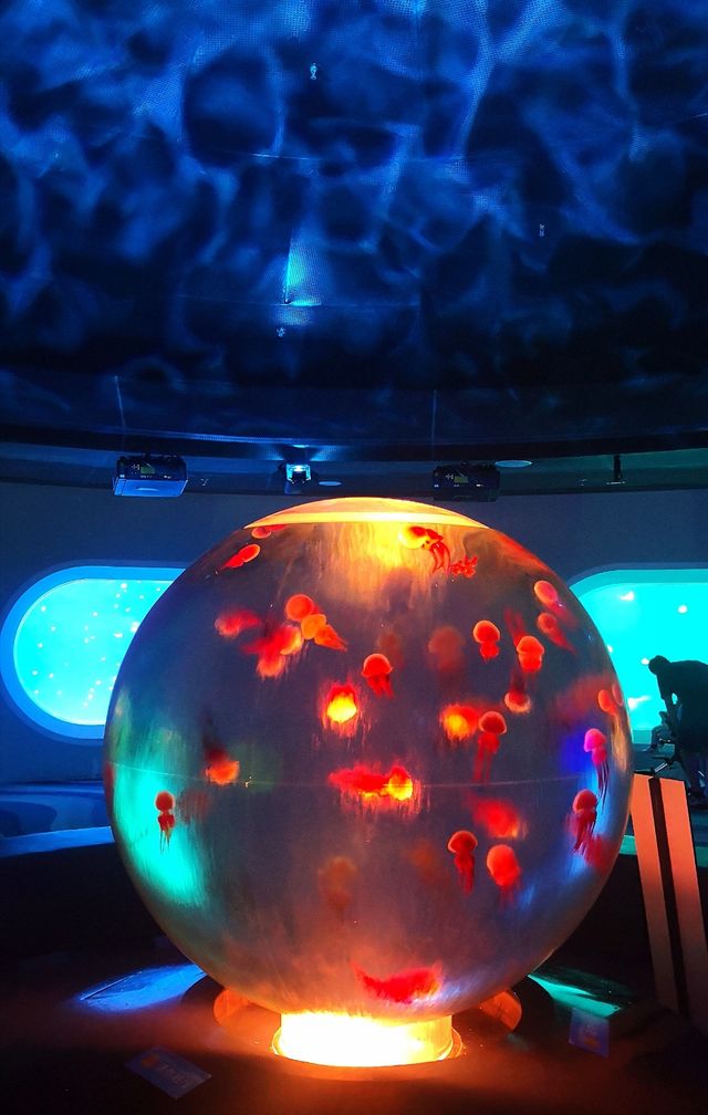 逛商場逛出一個海洋館 逛商場逛出一個海洋館