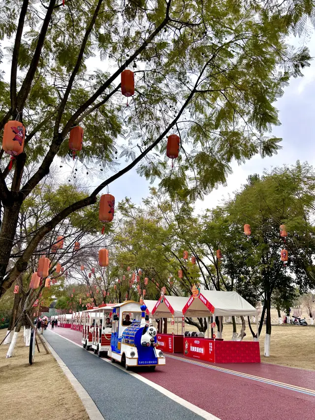 被成都公園的新春氛圍浪漫到