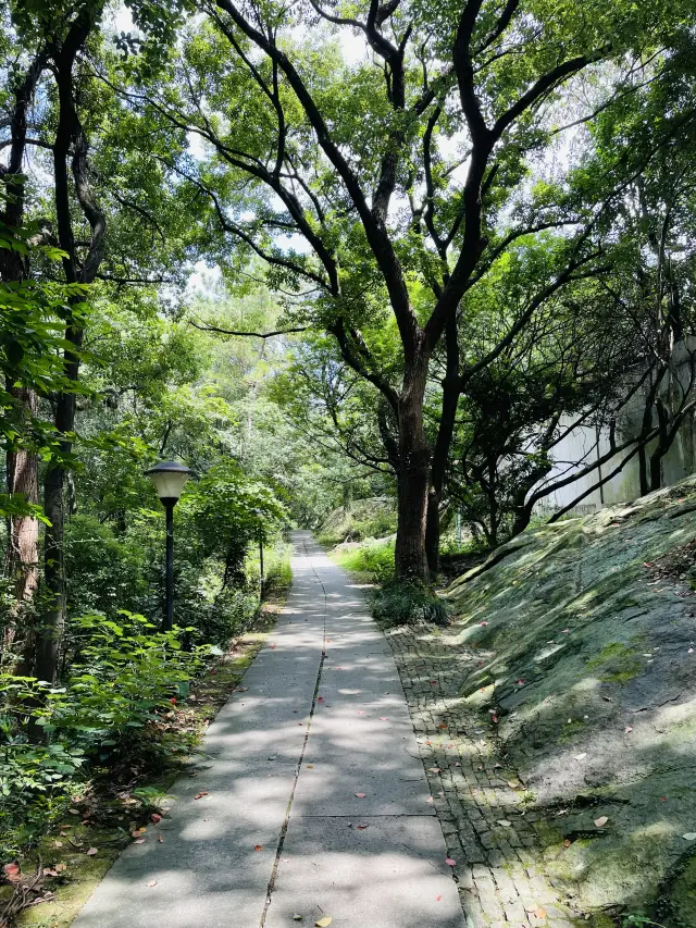 Hangzhou | The romantic cure-all of Solitary Hill! Recommended tour route